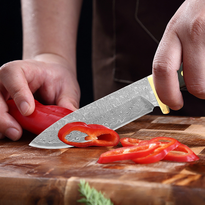 Premium VG10 Damast-Küchenmess – Home Cooking Japanese Food Bewertung und Preis