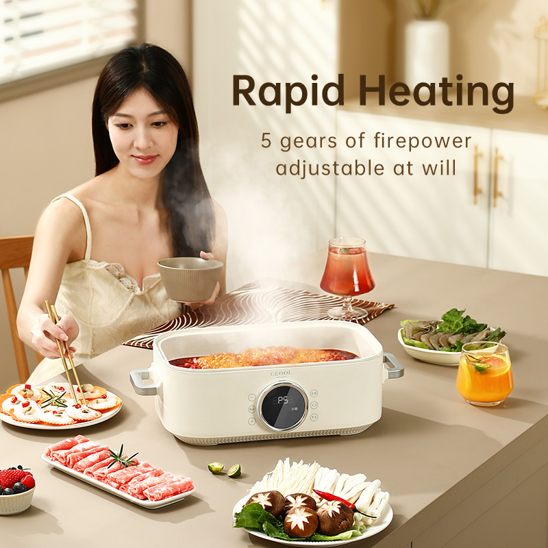 10L 3-in-1 elektrischer Dampfg – Home Cooking Restaurants Bewertung und Preis